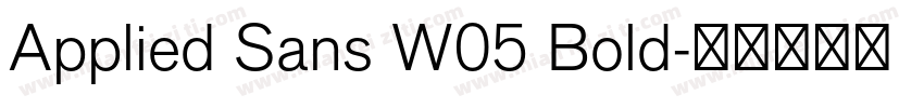 Applied Sans W05 Bold字体转换